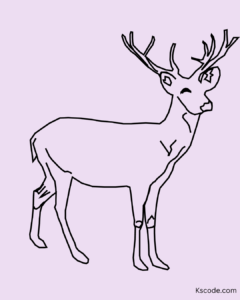 deer 