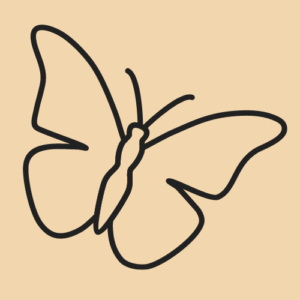 butterfly draw