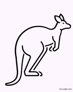 kangaroo