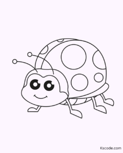 ladybug 