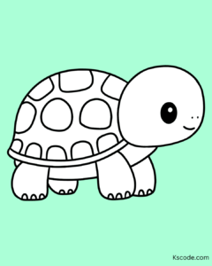 turtle TO DRAW